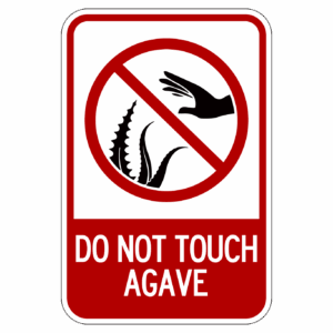 DO NOT TOUCH AGAVE 【BSGA08】