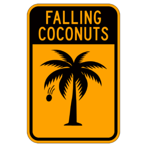 FALLING COCONUTS 【BSGA09】