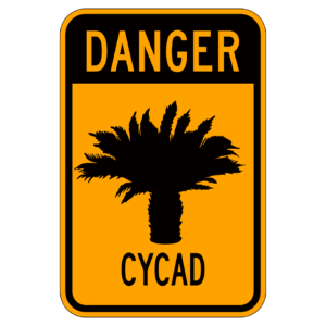 DANGER CYCAD 【BSGA13】
