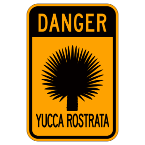 DANGER YUCCA ROSTRATA 【BSGA14】
