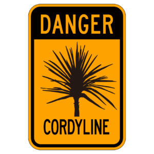 DANGER CORDYLINE 【BSGA15】
