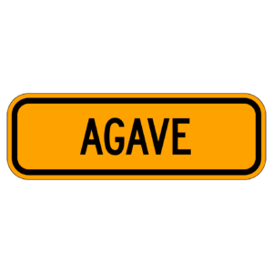 AGAVE 【BSGA20】