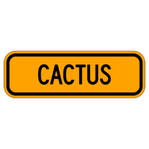 CUCTUS 【BSGA21】