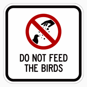 DO NOT FEED THE BIRDS 【BSPE12】