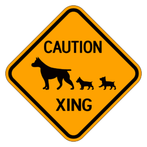 CAUTION XING 【BSPE13】