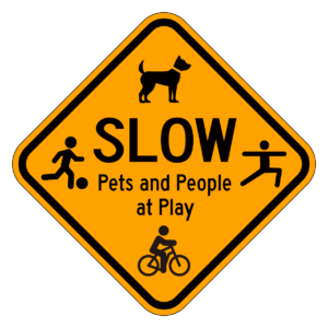 SLOW Pet and People at Play【BSSP17】