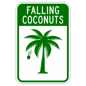 FALLING COCONUTS 【BSGA09】カラー