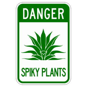 DANGER SPIKY PLANTS 【BSGA10】カラー