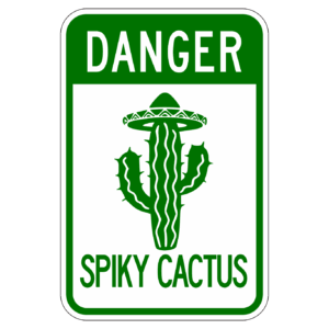 DANGER SPIKY CUCTUS 【BSGA12】カラー