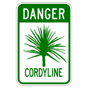 DANGER CORDYLINE 【BSGA15】カラー