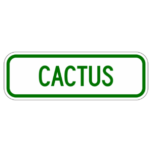 CUCTUS 【BSGA21】カラー