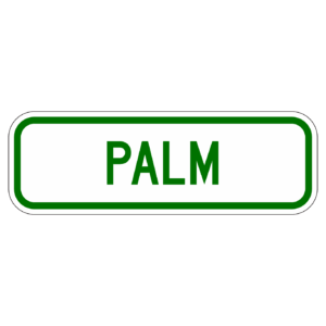 PALM 【BSGA23】カラー