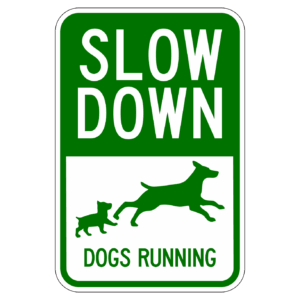 SLOW DOWN DOGS RUNNING 【BSPE03】カラー