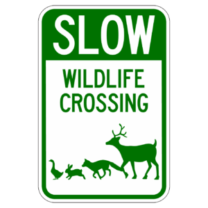 SLOW WILDLIFE CROSSING 【BSPE04】カラー