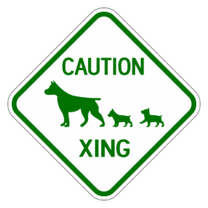 CAUTION XING 【BSPE13】カラー
