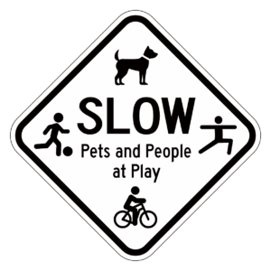 SLOW Pet and People at Play【BSSP17】カラー