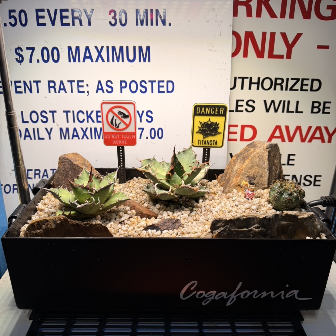 オリジナルプランツタグ 『DO NOT TOUCH AGAVE』 - 画像 (3)