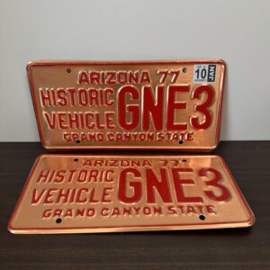 【超激レア】アリゾナ州　GNE3 ペア　アリゾナ銅製　USED　ライセンスプレート
